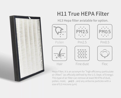 Filtre G06 de rechange du Purificateur d'air pour grande pièce